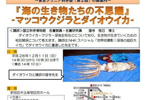 東京ジュニア科学塾第2回は「海の生き物」中学生392名募集 画像