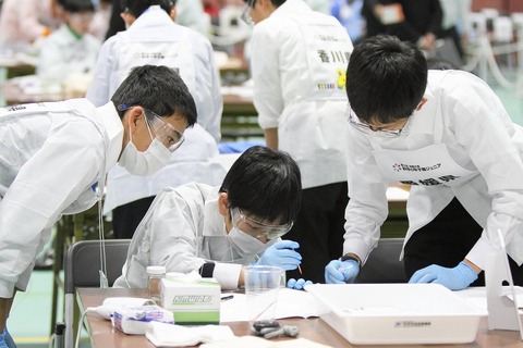 「第4回 科学の甲子園ジュニア全国大会」群馬県チームが優勝 画像