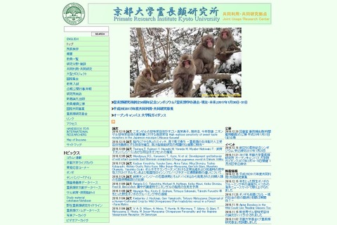 サル脳内に「やる気」スイッチ、目で見て操作…京大グループ 画像