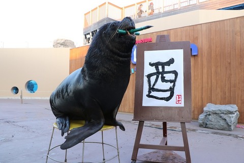 書き初めや干支展、シーパラのお正月「新春パラダイス」1/1-31 画像