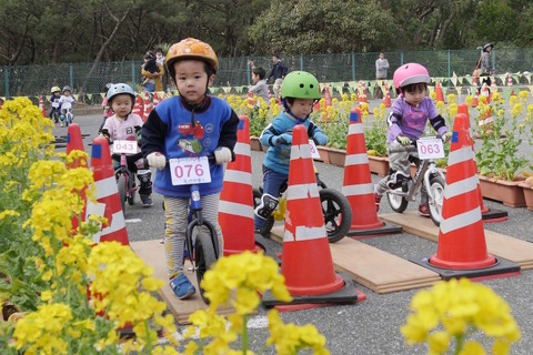 2-6歳「ストライダーレース」1/12受付開始…鴨川シーワールド3/4・5 画像