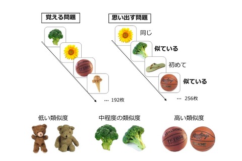 10分間のきつめ運動で記憶力アップ…筑波大教授ら実証 画像