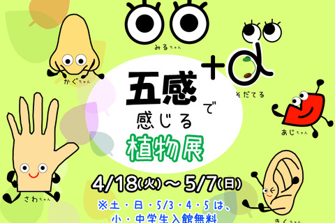 【GW2017】板橋・熱帯環境植物館、五感で感じる体験型展示4/18-5/7 画像