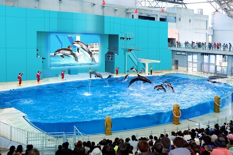 シーパラ「海の動物たちのショー」4/28フルリニューアル 画像