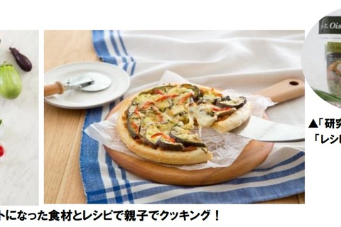 【夏休み2017】自由研究が1日で完成、オイシックス自由研究キット 画像