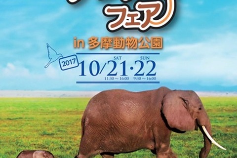 動物や文化などを紹介、多摩動物公園アフリカフェア10/21・22 画像