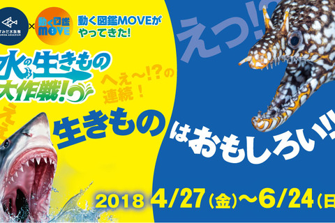 【GW2018】すみだ水族館×動く図鑑MOVE「水の生きもの大作戦！」4/27-6/24 画像