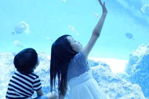 【夏休み2018】花火や水族館が人気、子どもが喜ぶ夏のお出かけスポットランキング 画像