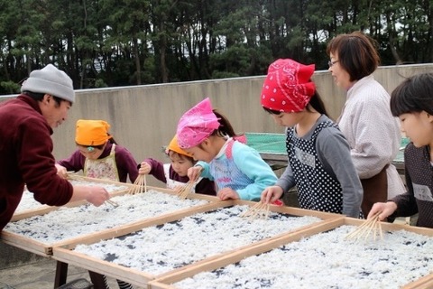 横須賀で過ごす1泊2日、生き物採集や漁協のお仕事体験9/8・9 画像