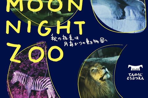 ゾウのお宅公開など、天王寺動物園「秋のナイトZOO」10月 画像