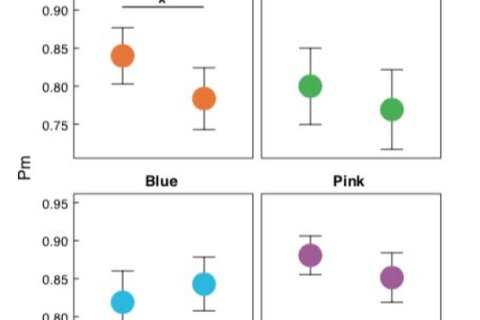 柑橘系の匂いはオレンジ色が覚えにくくなる、学習教材への期待も 画像