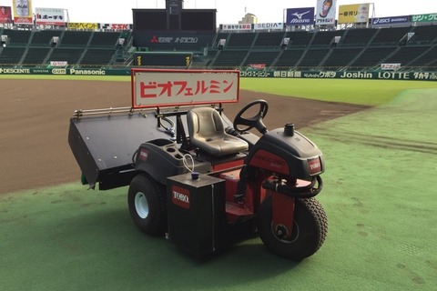 阪神甲子園球場でグラウンド整備体験11/25、応募締切11/16 画像