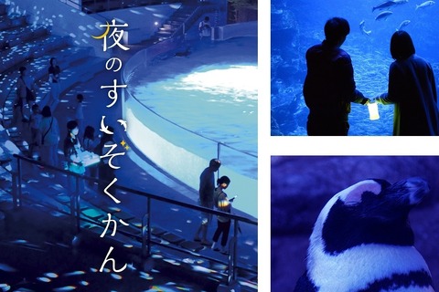 【GW2019】夜のいきもの観察・解説ツアーなど…京都水族館4/27-5/6 画像