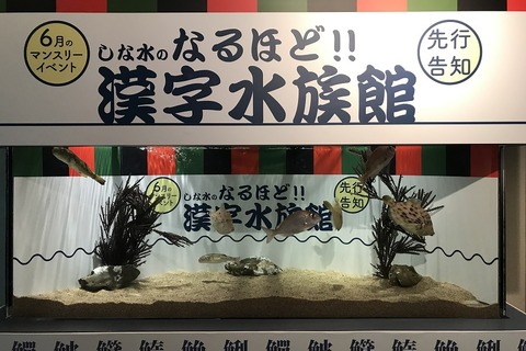 魚偏の漢字の由来は？しながわ水族館で漢字水族館6月 画像