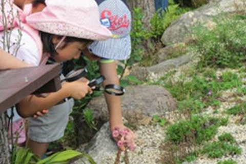 【夏休み2019】寄せ植え体験など「食虫植物のひみつ展」六甲高山植物園 画像