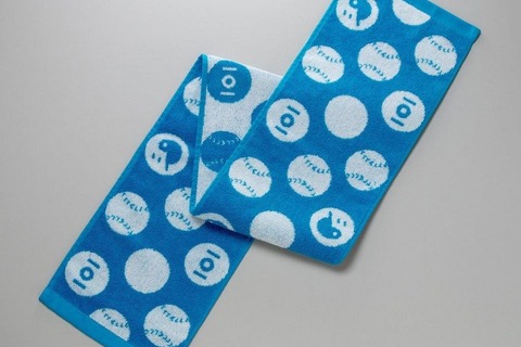 【高校野球2019夏】観戦に重宝…大会オフィシャルグッズ 画像