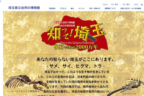 埼玉県立自然の博物館、特別展「化石でたどる2000万年」 画像