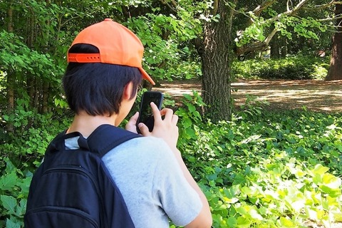 中学生に最適【夏休み2019】7月の自由研究人気ランキングTop10 画像