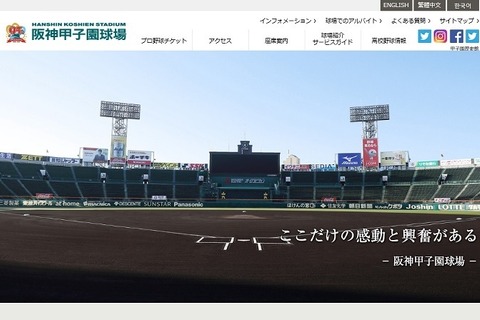 【高校野球2019夏】甲子園球場95周年、記念グッズ発売やグルメキャンペーン 画像