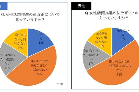 女性活躍推進、印象に男女差…ポジティブなのは？ 画像