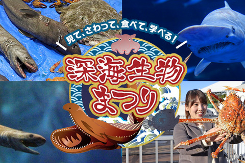 【春休み2020】深海生物にフィーチャーした「深海生物まつり」4/5まで 画像