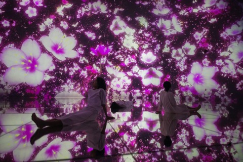 チームラボの水に入るミュージアム、3/1より桜の演出 画像