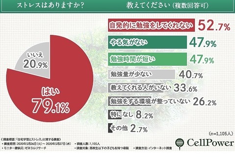 休校時の自宅学習、母親の3割「学力格差に不安」 画像