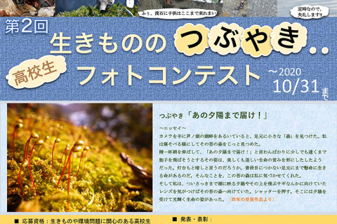 高校生「生きものの“つぶやき”フォトコンテスト」10月末締切 画像