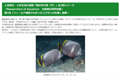 葛西臨海水族園「ユウゼンの生態」高大生向け講座10/25 画像