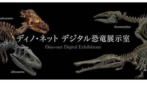 恐竜骨格をVRで見学「ディノ・ネット デジタル恐竜展示室」 画像