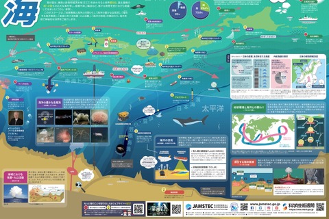 文科省、一家に1枚「海～その多様な世界～」ポスター公開 画像