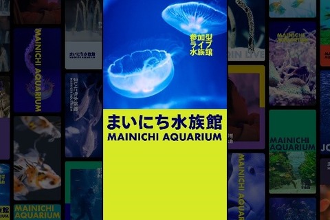 参加型ライブ「まいにち水族館」視聴しながら寝落ち 画像