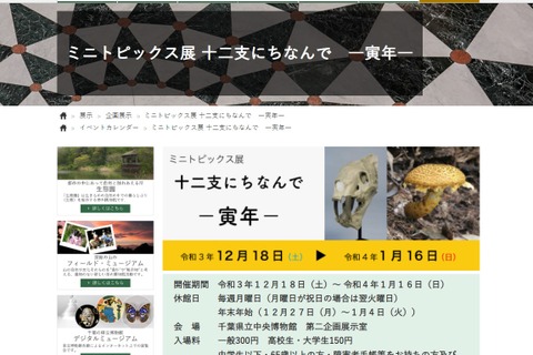 千葉県立中央博物館、十二支にちなんで「寅年」開催 画像
