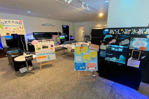 北里大学ミニ水族館「北里アクアリウムラボ」全国5館の展示 画像