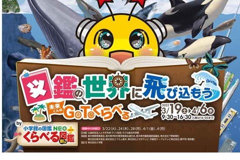 小学館の図鑑コラボ展「くらべる体験」3/19-4/6 画像