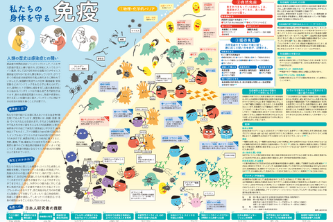 阪大、免疫学をわかりやすく伝えるポスター提供…絵本も 画像
