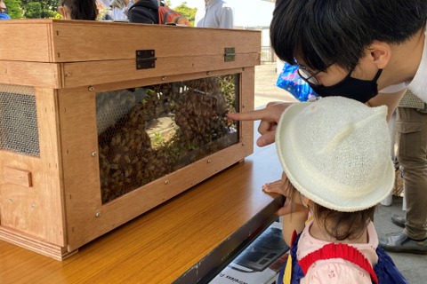 SDGsイベント「ダヴィネスと考えよう ミツバチと地球の未来 」6/11-12 画像