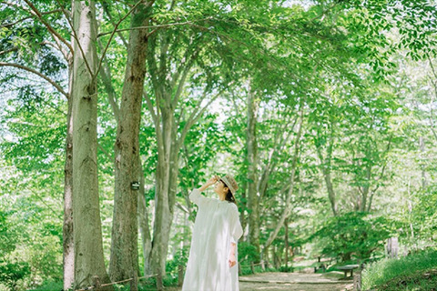 【夏休み2022】猛暑日は六甲高山植物園へ…子供アイスプレゼントキャンペーン 画像
