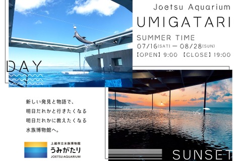 【夏休み2022】上越市立水族博物館「うみがたりの夏休み」8/28まで 画像