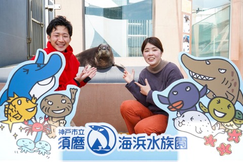 アザラシと記念撮影3/12限定開催、須磨海浜水族園 画像