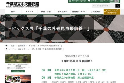 千葉県立中央博物館「外来昆虫最前線」4/29-6/18 画像