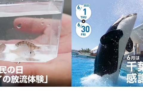 鴨川シーワールド「千葉県民感謝月間」6/15中学生以下無料 画像