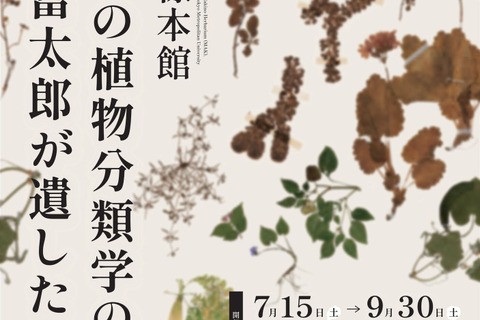 NHK「らんまん」モデル、牧野富太郎の植物標本展示…都立大 画像