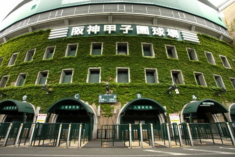 【高校野球2023夏】出場校49代表が決定…大阪は履正社、東東京・共栄学園は初出場 画像