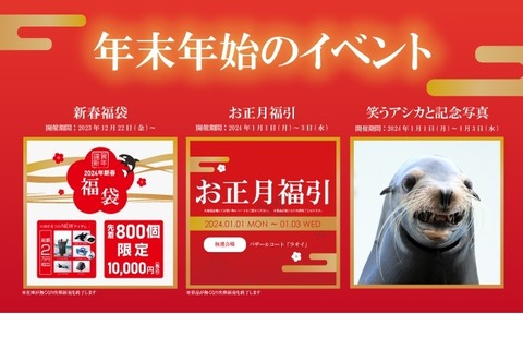 【冬休み2023】笑うアシカと初笑いコンテスト…鴨川シーワールド 画像