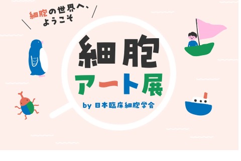 楽しく学べる「細胞アート展」ワークショップやサイト公開 画像