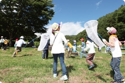 【夏休み2024】実験やキャンプなど23種…サイエンス倶楽部 画像