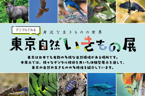 【夏休み2025】デジタルでみる東京自然いきもの展8/2より 画像