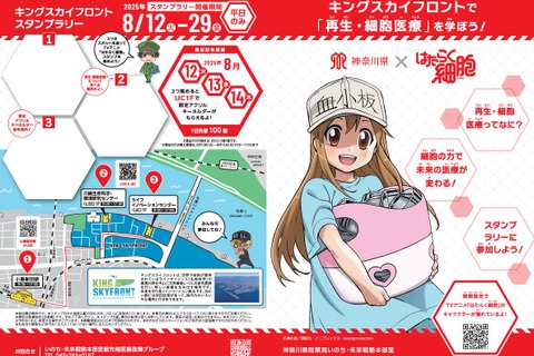 【夏休み2025】神奈川県「はたらく細胞」コラボスタンプラリー 画像