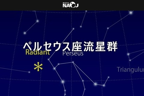 ペルセウス座流星群、8/11から3夜がチャンス 画像